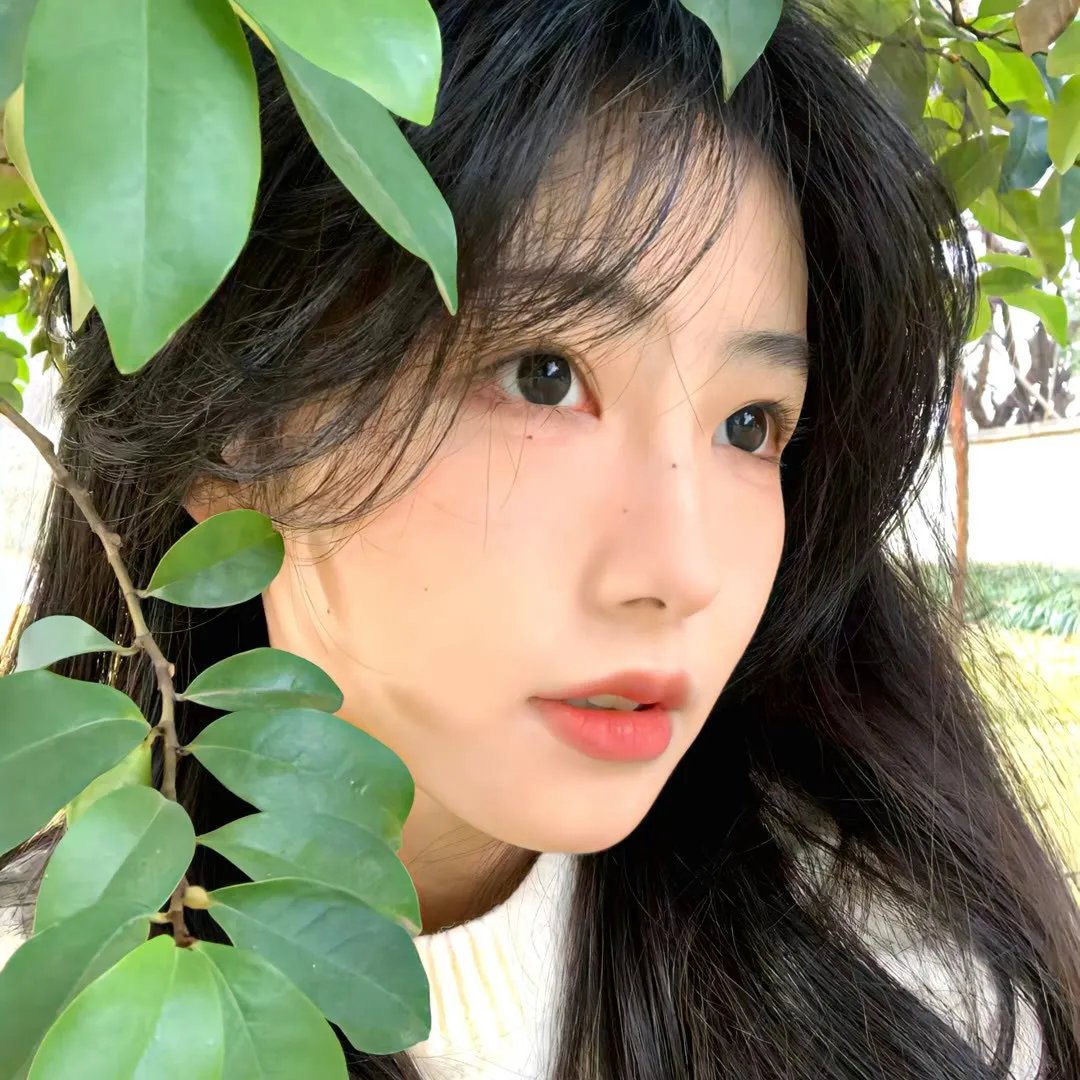 生命速写
